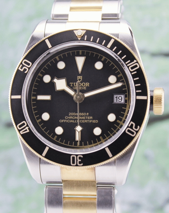 (image for) UNPOLISHED TUDOR HERITAGE BLACK BAY AUTOMATIC WATCH / 79733N