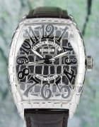 (image for) FRANCK MULLER STAINLESS STEEL IRON CROCO / 8880 SC IRO CRO